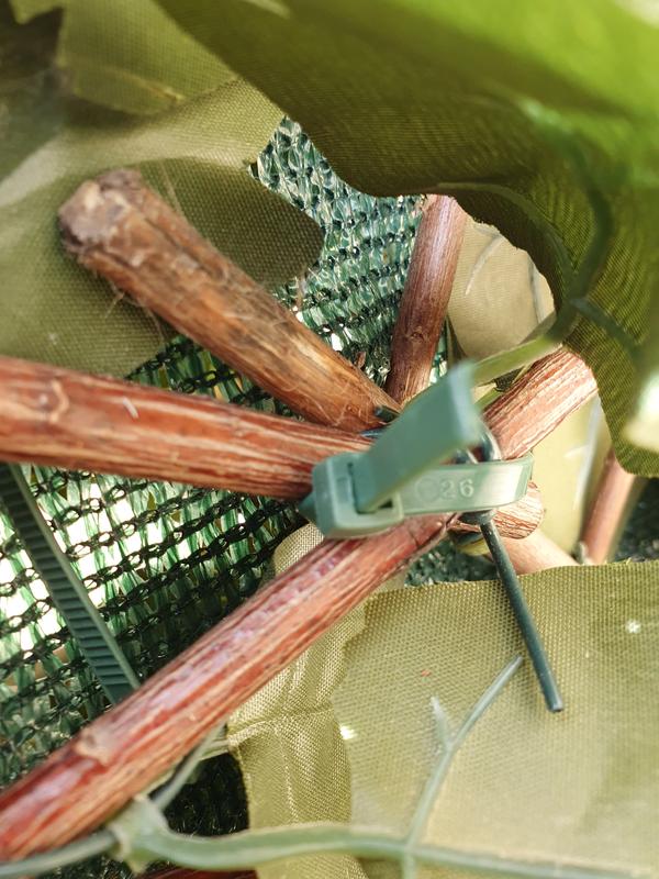 Abra o modal de avaliação 3 de 3