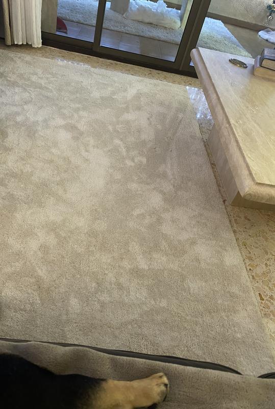 Abrir modal de revisión 1 de 1