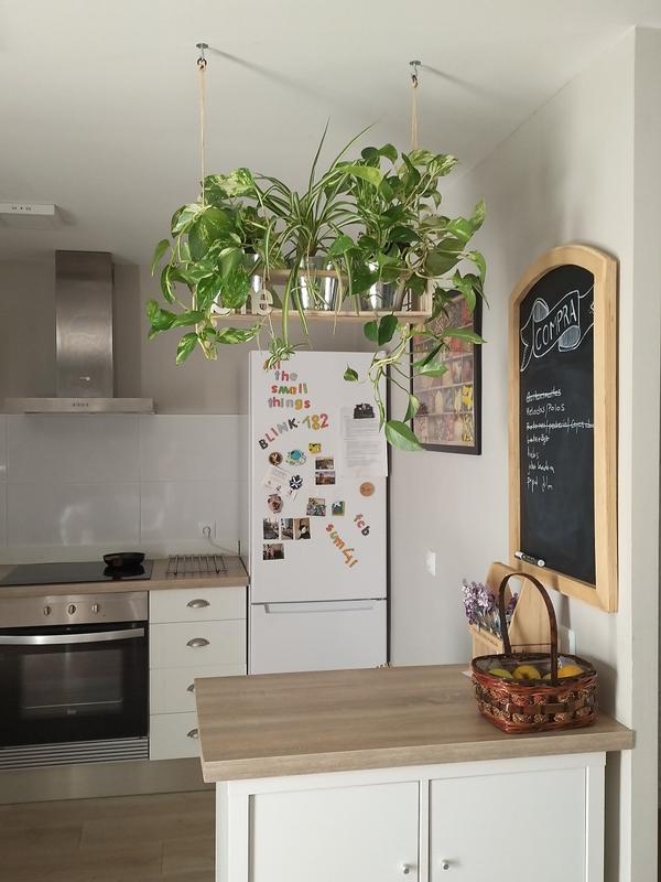 Abrir modal de revisión 1 de 1