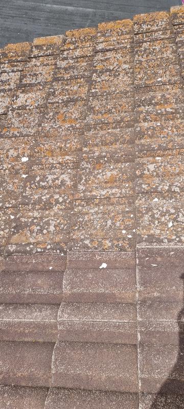 Abrir modal de revisión 1 de 1