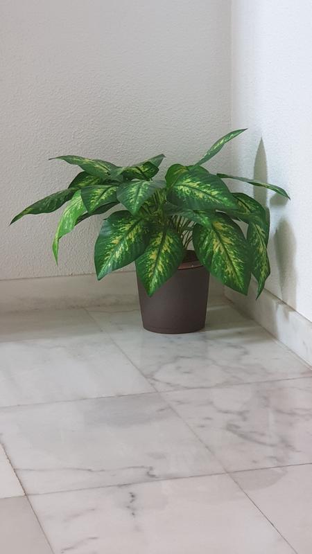 Abrir modal de revisión 1 de 1