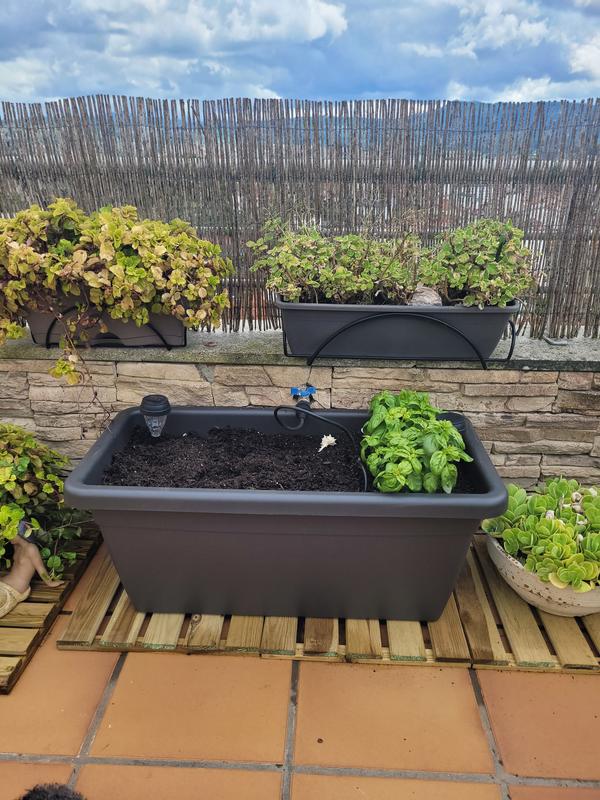 Abrir modal de revisión 1 de 1