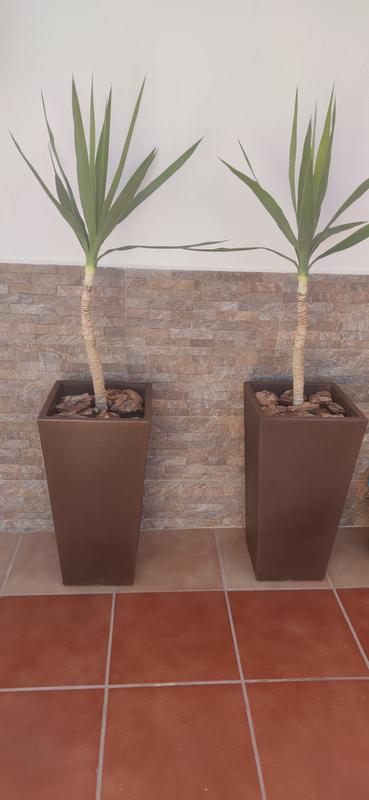 Abrir modal de revisión 1 de 1