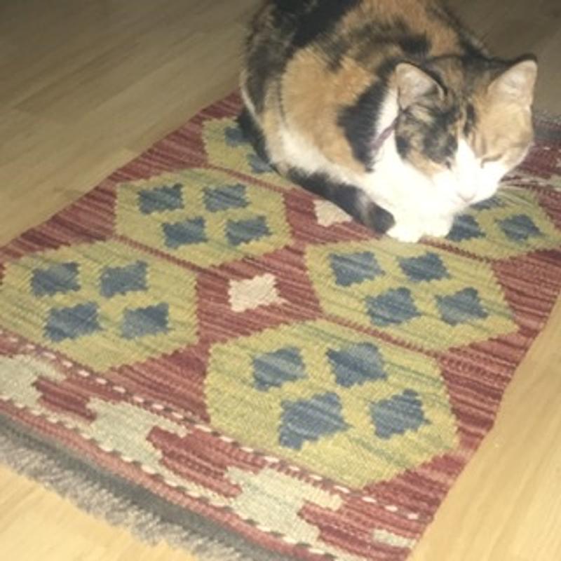 Abrir modal de revisión 1 de 1