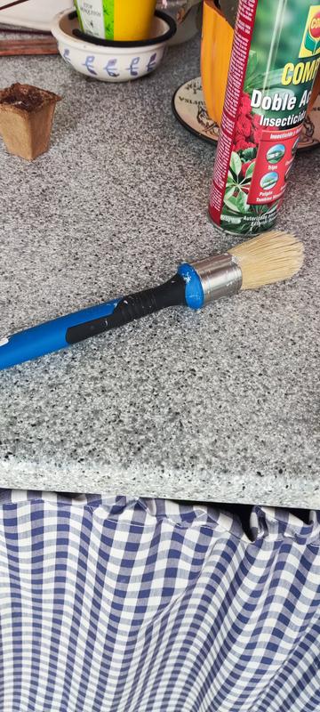 Abrir modal de revisión 1 de 1