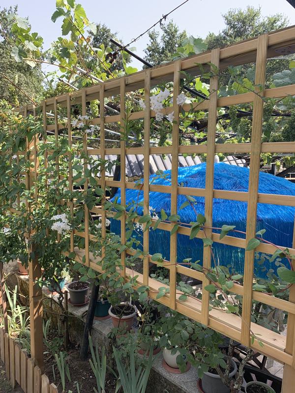 Abrir modal de revisión 1 de 1