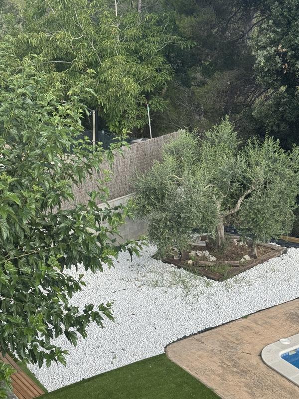 Abrir modal de revisión 1 de 1