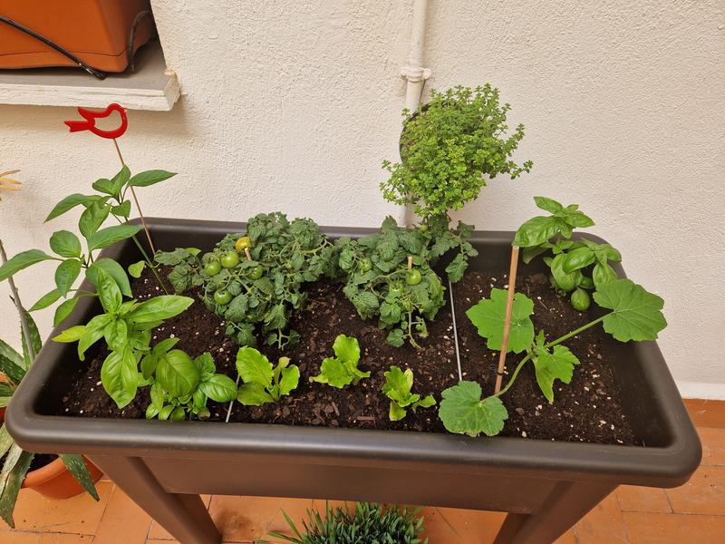 Abra o modal de avaliação 1 de 1