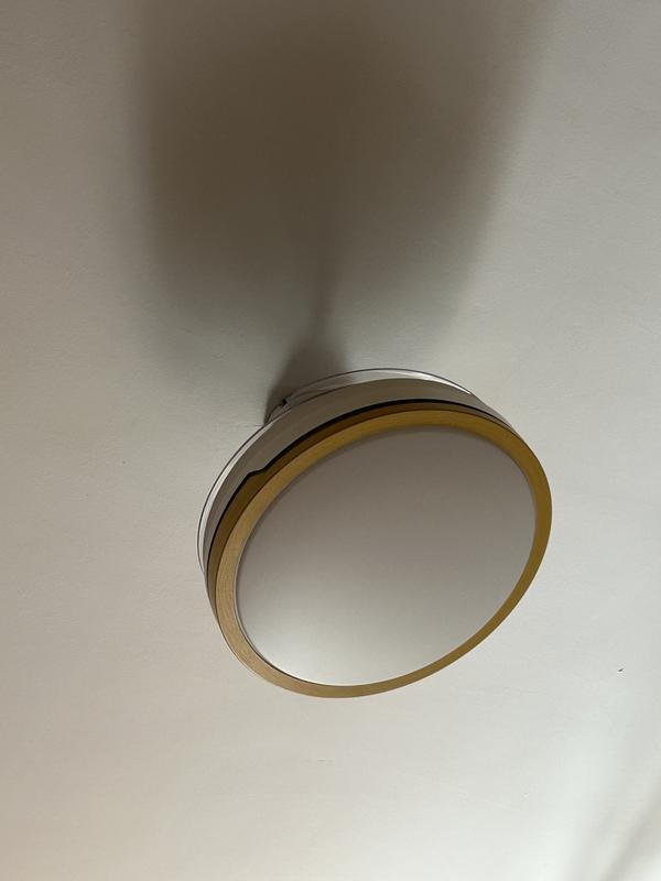 Abrir modal de revisión 1 de 1