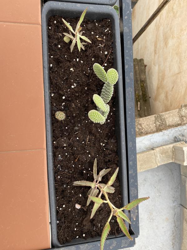 Abrir modal de revisión 1 de 1