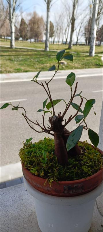 Abra o modal de avaliação 3 de 3