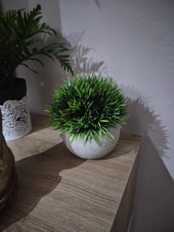 Abrir modal de revisión 1 de 1