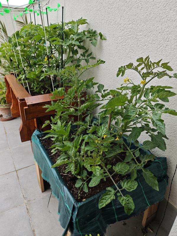 Abrir modal de revisión 1 de 3