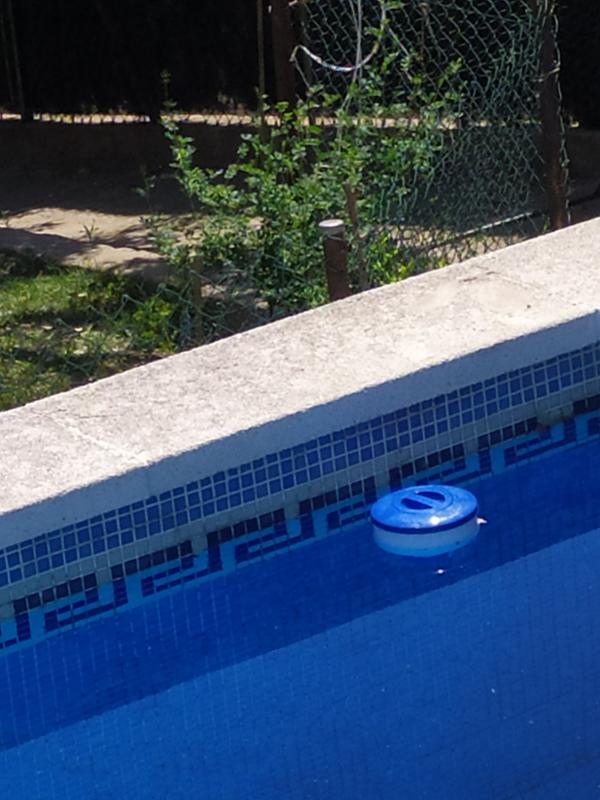 Abra o modal de avaliação 1 de 1