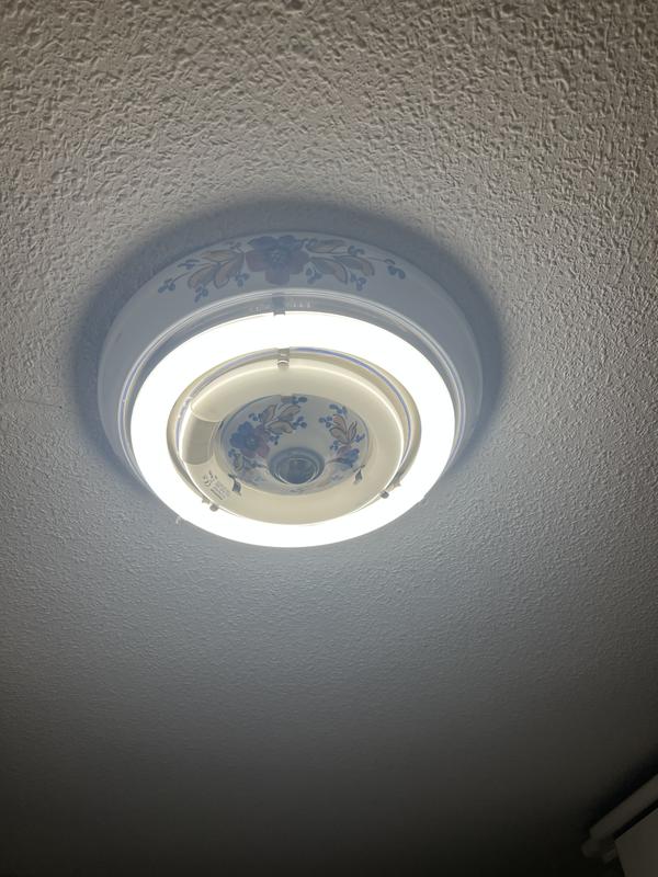 Abrir modal de revisión 1 de 1