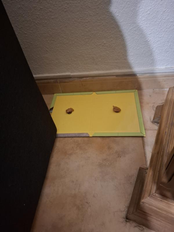 Abrir modal de revisión 1 de 2