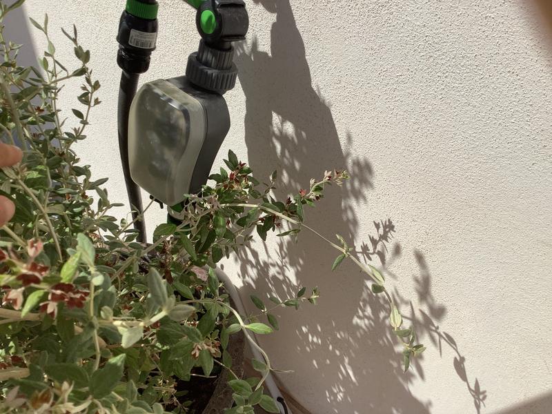 Abrir modal de revisión 1 de 2