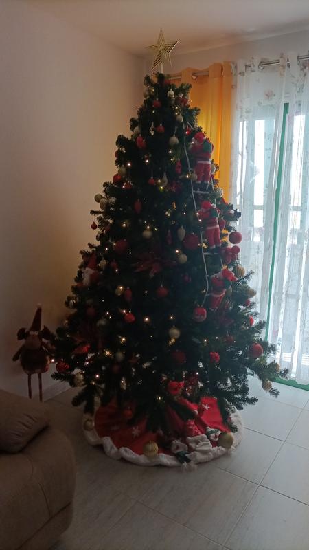 Abrir modal de revisión 1 de 1