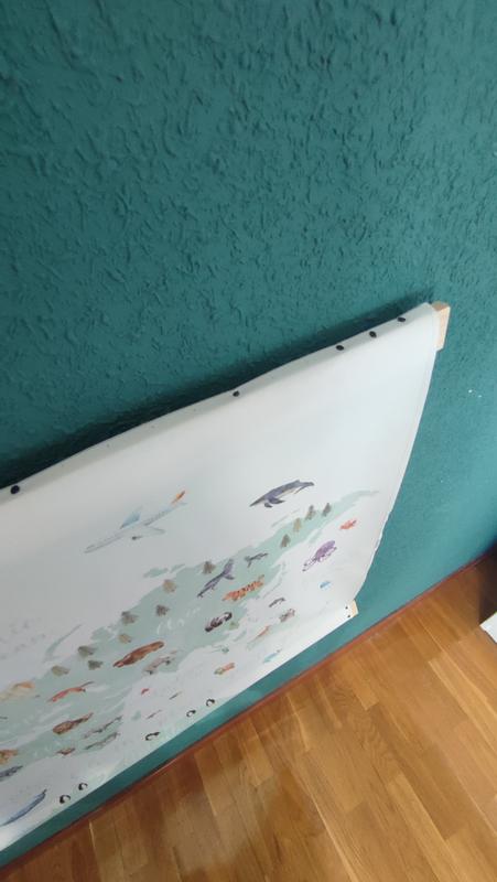 Ouvrir la fenêtre modale de l'avis 1 sur 1