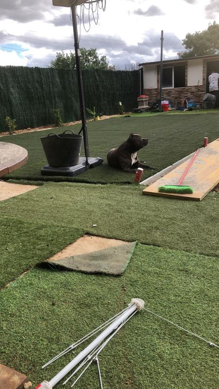 Abrir modal de revisión 1 de 1