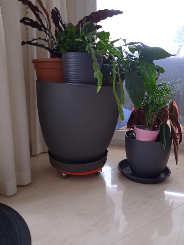 Abra o modal de avaliação 1 de 1