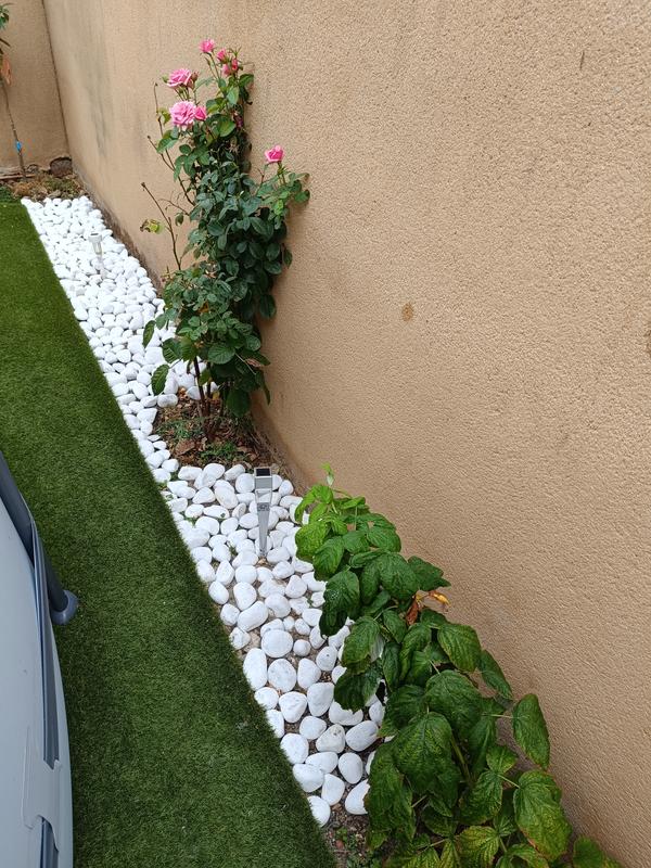 Abrir modal de revisión 2 de 2