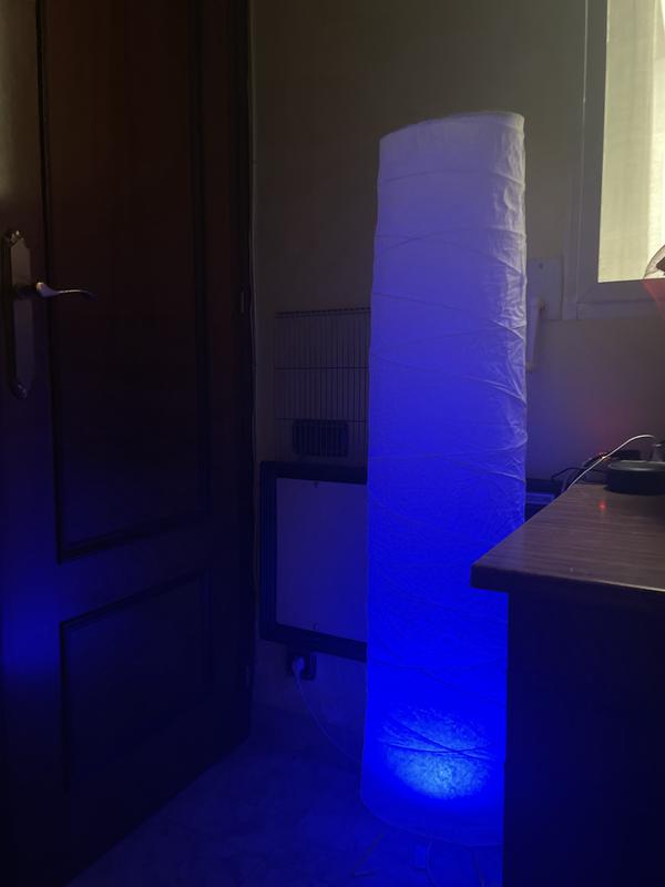 Abrir modal de revisión 2 de 4