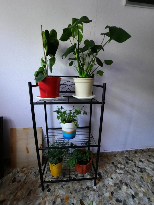 Abrir modal de revisión 1 de 1