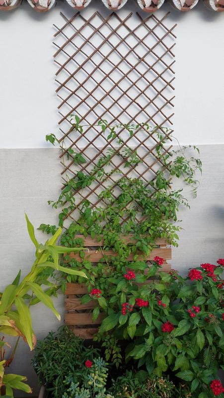 Abra o modal de avaliação 1 de 1