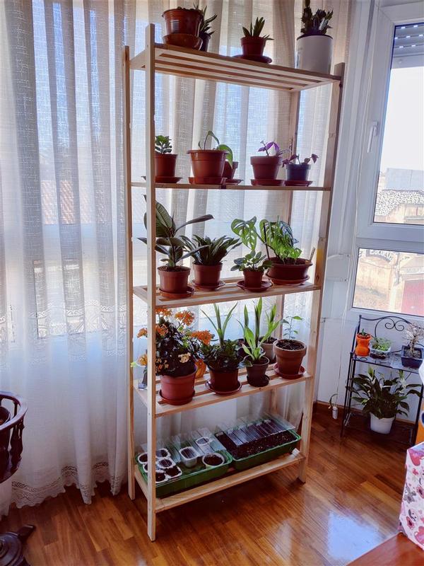 Ouvrir la fenêtre modale de l'avis 1 sur 1