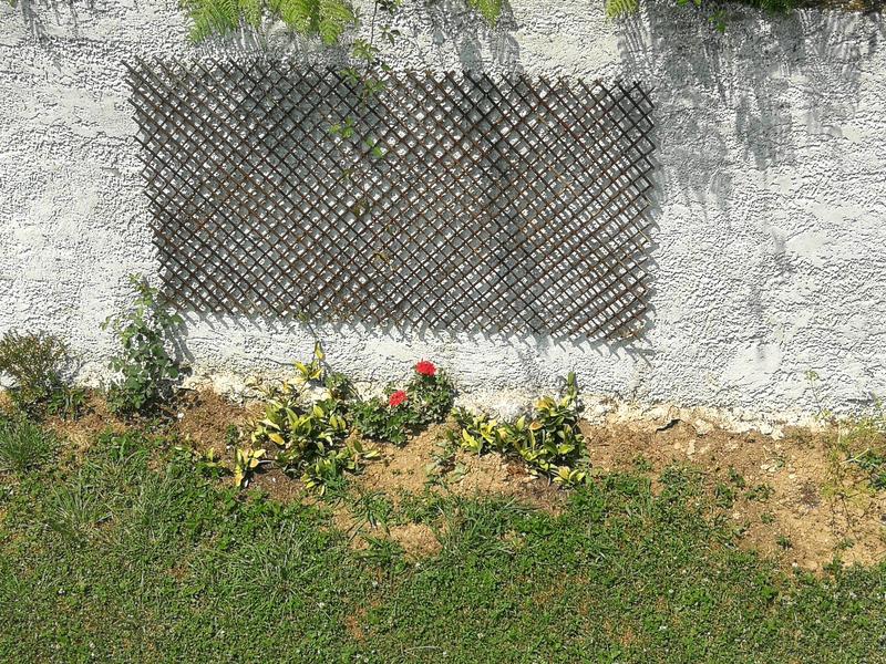 Abra o modal de avaliação 1 de 1