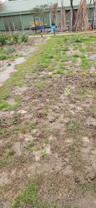 Ouvrir la fenêtre modale de l'avis 3 sur 3