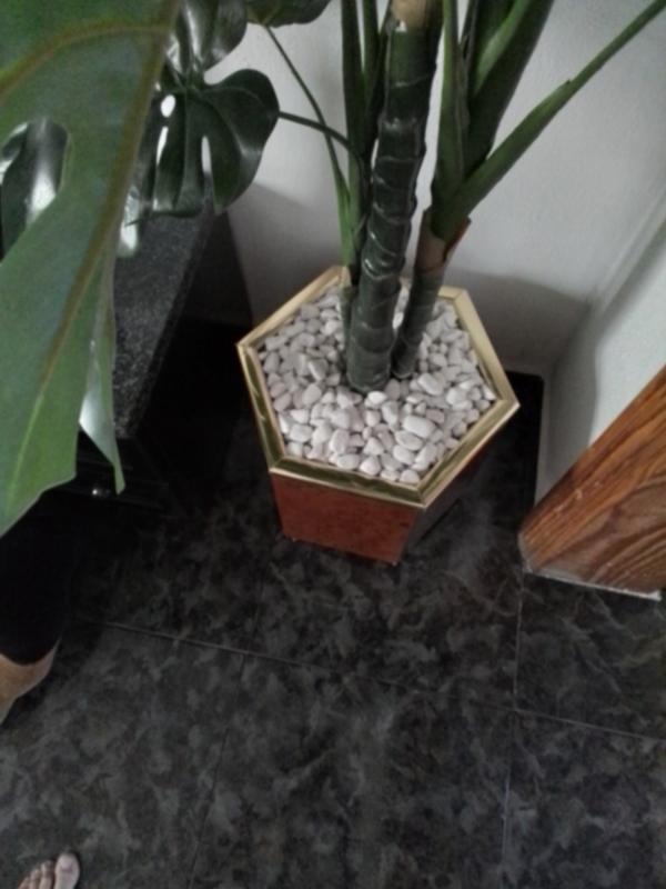 Abrir modal de revisión 1 de 1