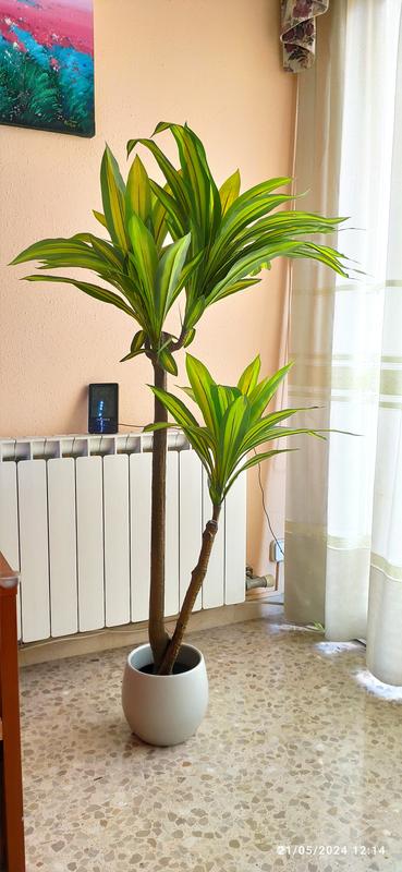 Abrir modal de revisión 1 de 1