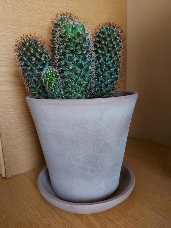 Abrir modal de revisión 1 de 1