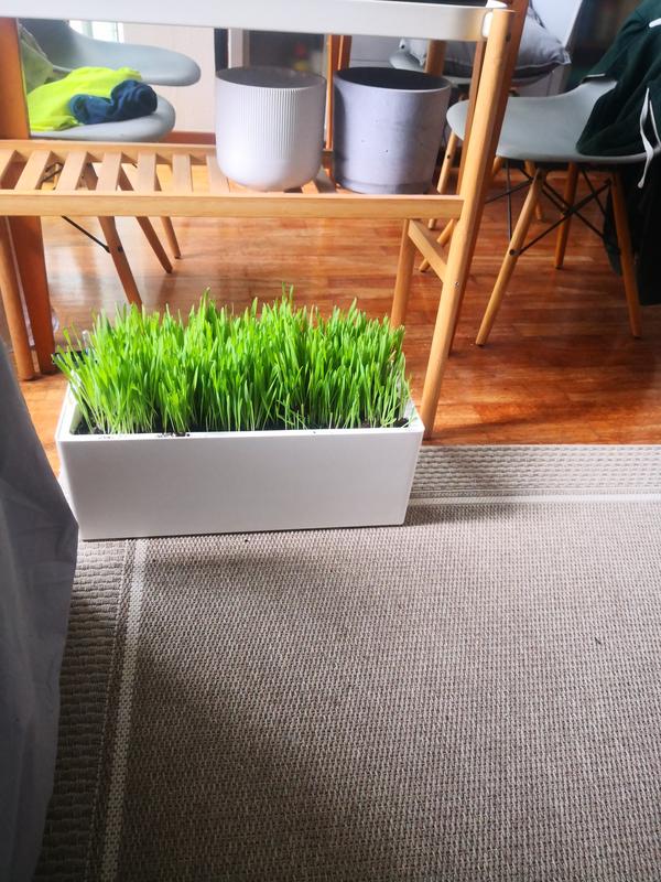 Abrir modal de revisión 1 de 1