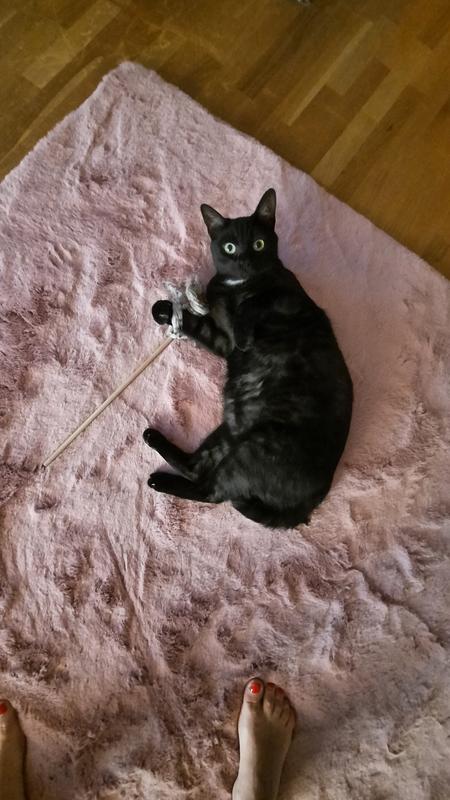 Abra o modal de avaliação 1 de 1