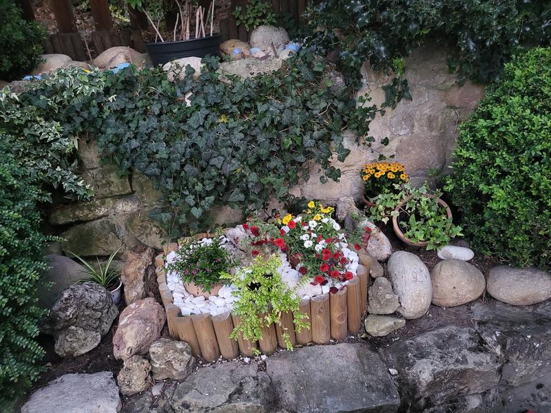 Abrir modal de revisión 1 de 1