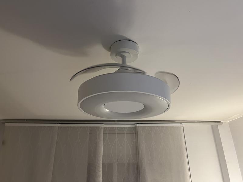 Revisione aperta modale 2 su 2