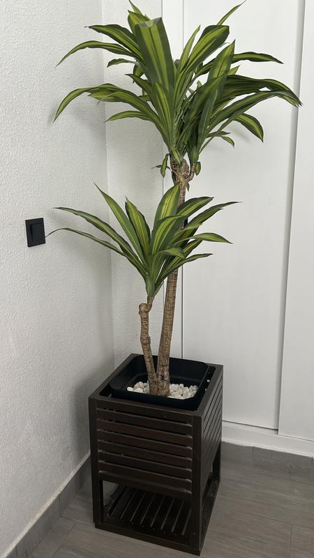 Abrir modal de revisión 1 de 1