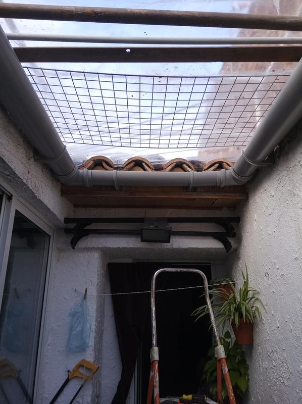 Abrir modal de revisión 1 de 1