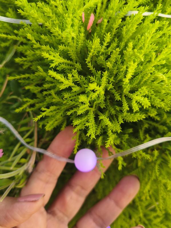 Abra o modal de avaliação 1 de 2