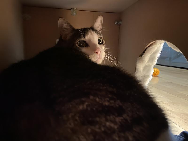 Abrir modal de revisión 1 de 1