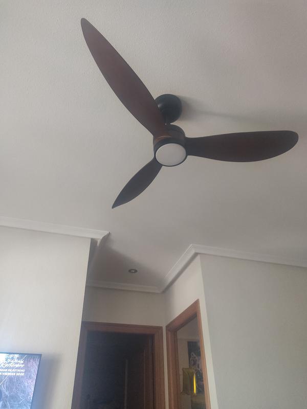Ventilateur De Plafond Bayside Megara Noir 122 Cm Avec Télécommande Et éclairage (531018)
