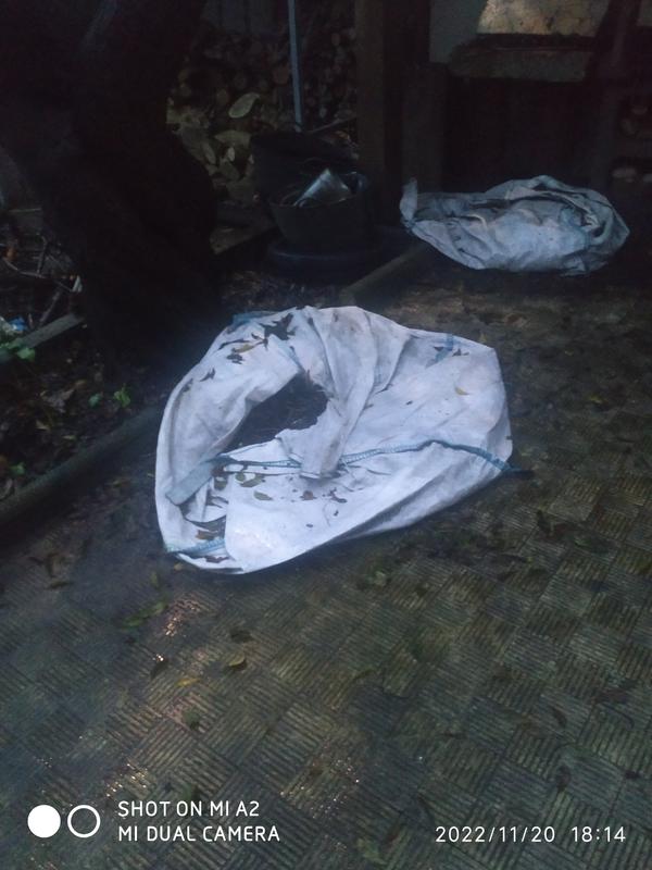 Abrir modal de revisión 1 de 1