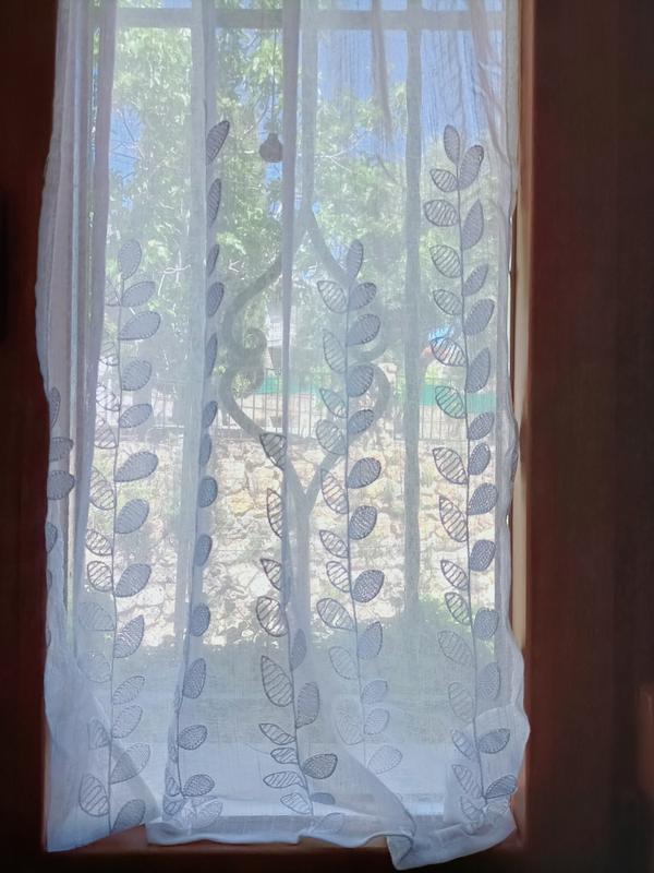 Abrir modal de revisión 1 de 1