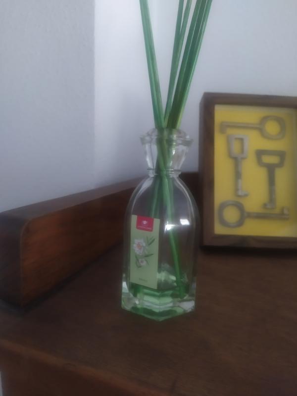 Abrir modal de revisión 1 de 1