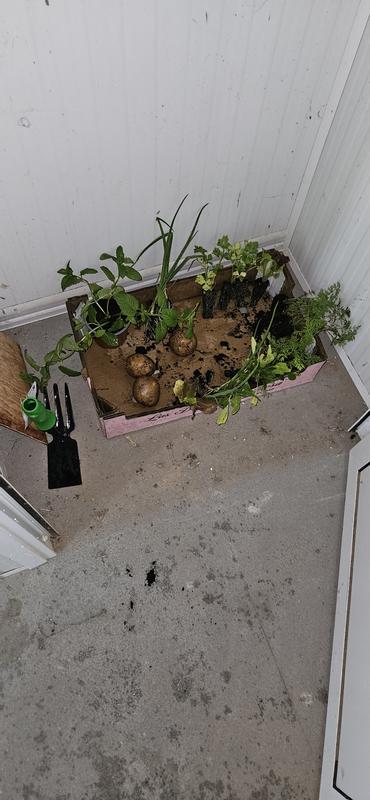 Ouvrir la fenêtre modale de l'avis 2 sur 3