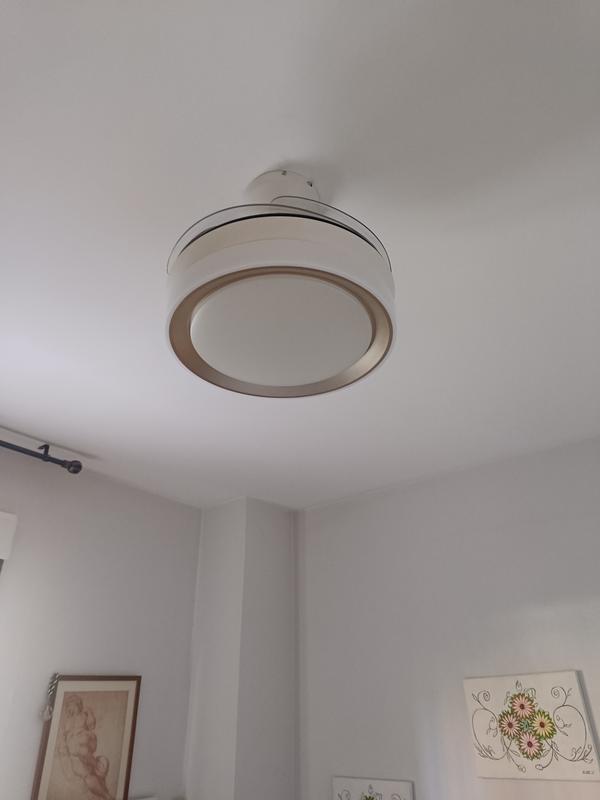 Abrir modal de revisión 1 de 1