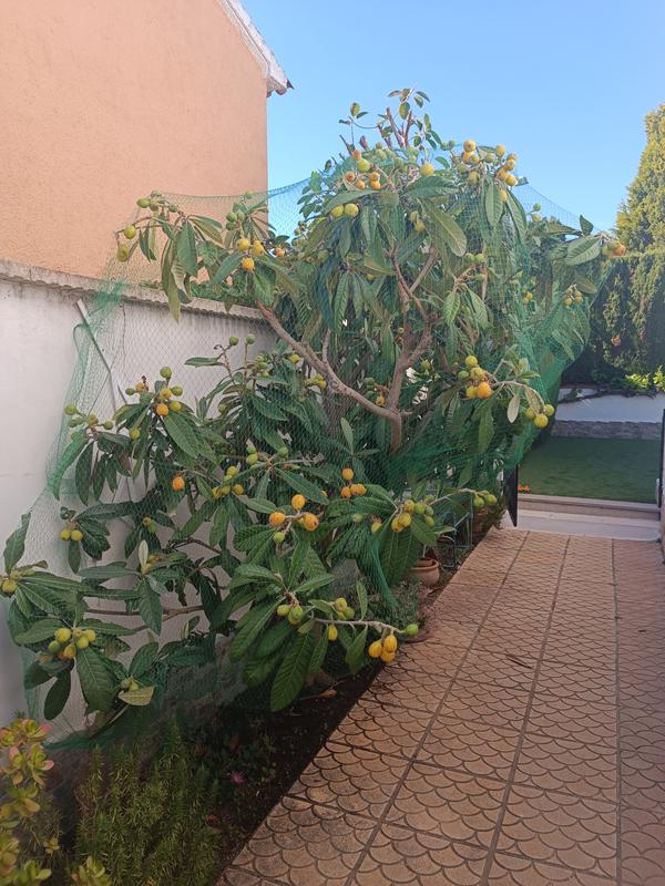 Abrir modal de revisión 1 de 1